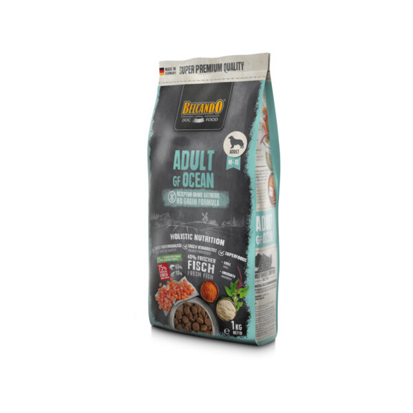 Adult Gf Ocean 1 Kg Belcando