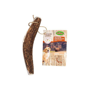 Bois De Cerf Coupe En Deux M