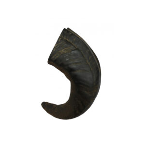 Corne De Buffle Medium