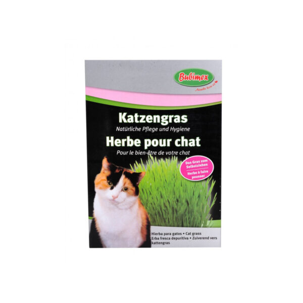 Herbe A Chat 100 G (bubimex)