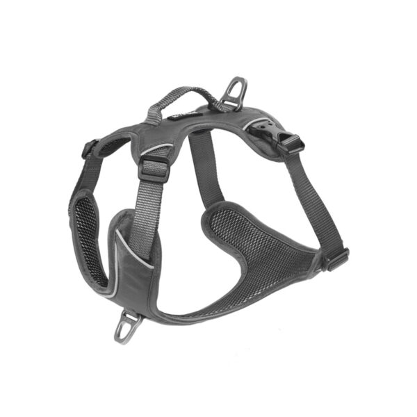 Kyflie Harnais Momentum M Gris