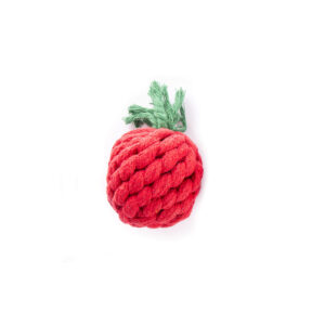 Jeu Corde Tomate Pm