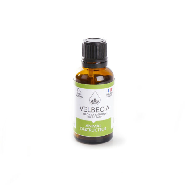 Fleur Bach Destruction 30ml