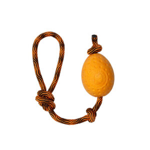 Kiwi Egg Orange Maxi