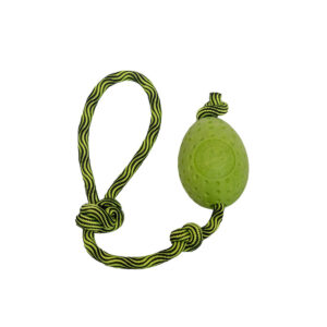 Kiwi Egg Vert Maxi