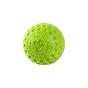 Kiwi Balle Vert S